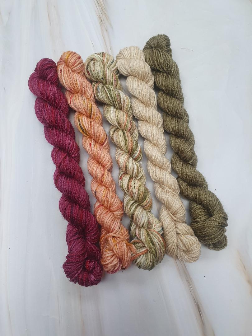 Ponytail Mini Skein Set 5x20g Swagman - #56