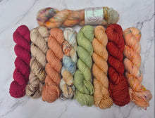 Load image into Gallery viewer, Westknits MKAL 2026 Kaleidoscope Kit #1 Mohair Dare!