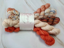 Load image into Gallery viewer, Ponytail Mini Skein Set 5x20g Swagman 4ply/Fingering #22