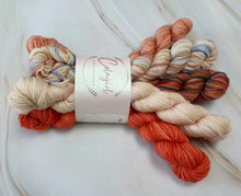 Load image into Gallery viewer, Ponytail Mini Skein Set 5x20g Swagman 4ply/Fingering #18