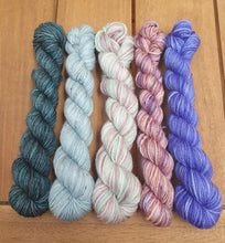 Load image into Gallery viewer, Ponytail Mini Skein Set 5x20g Swagman 4ply/Fingering #19